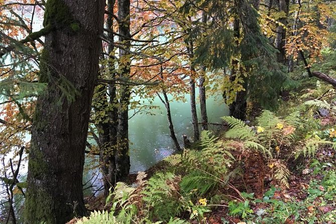 1 Day 4x4 Tour in Carpathian Mountains - What the $191.05 price really buys