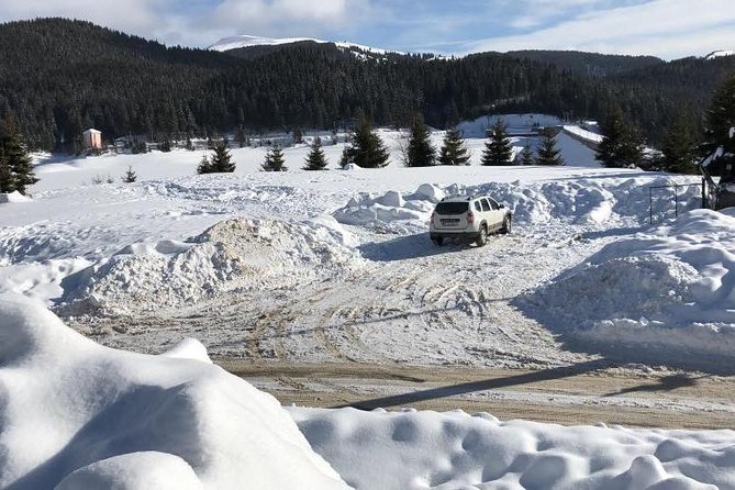 1 Day 4x4 Tour in Carpathian Mountains - Five hours inside Bucegi Natural Park