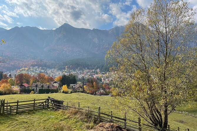 1 Day ATV Tour in Carpathian Mountains - Who should book this mountain day?