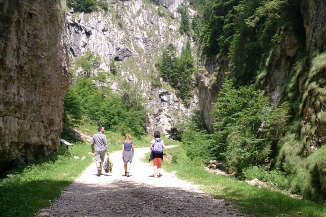 1 day CARPATHIAN PEAKS & CHALETS hike - Zarnesti Gorges and the return route