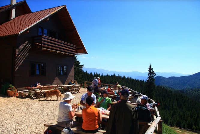 1 day CARPATHIAN PEAKS & CHALETS hike - Climbing through the Piatra Craiului forests