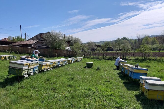 10 hours Private Apiary Tour in Romania - From Bucharest - Who will enjoy this day most