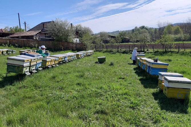 10 hours Private Apiary Tour in Romania - From Bucharest - Curtea de Argeș Monastery on the route
