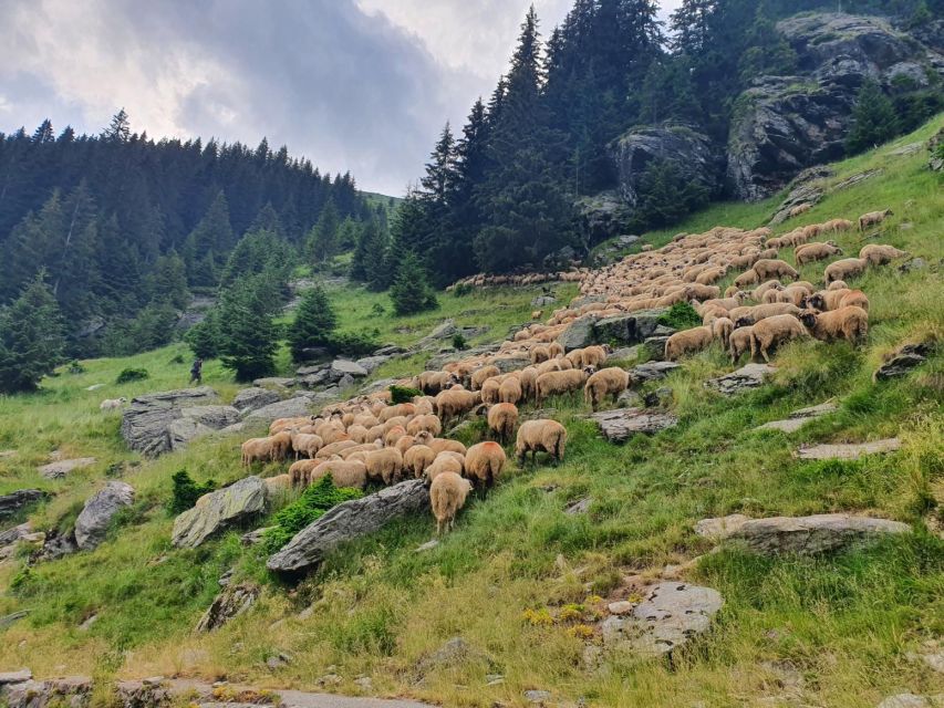 2 Day Private Tour from Bucharest in Transylvania - Why two days makes sense from Bucharest