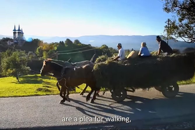 2 Days Private Tour Transfagarasan Road & Sibiu from Bucharest - Poienari Castle and 1,480 stairs