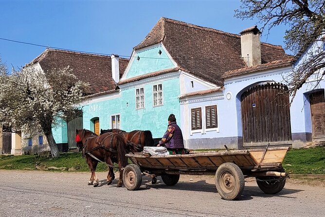 3-Day Tour of Transylvania’s Landmarks from Bucharest - The guide makes the difference