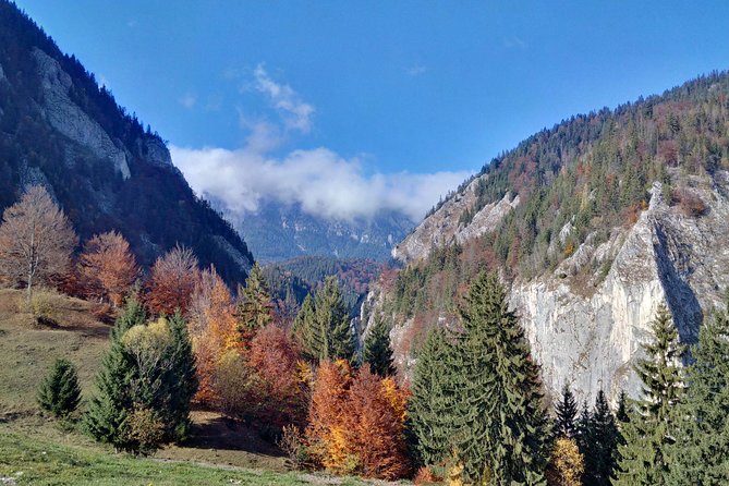 4-Day Carpathian Trek: Bucegi Mountains and Piatra Craiului National Park - What the guides contribute