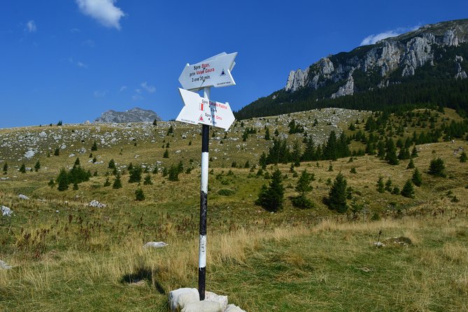 4-Day Carpathian Trek: Bucegi Mountains and Piatra Craiului National Park - How hard is the hiking?