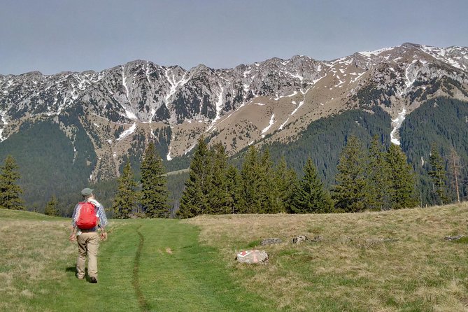 4-Day Carpathian Trek: Bucegi Mountains and Piatra Craiului National Park - Days two and three: Piatra Craiului’s villages, forests, and gorges