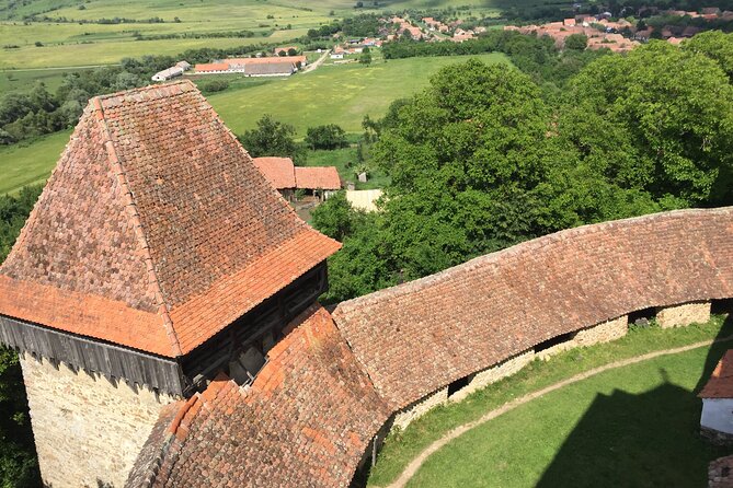 4-Day Private Tour: Bucharest to Budapest via Transylvania - Day 4: Timișoara and the missing Budapest question