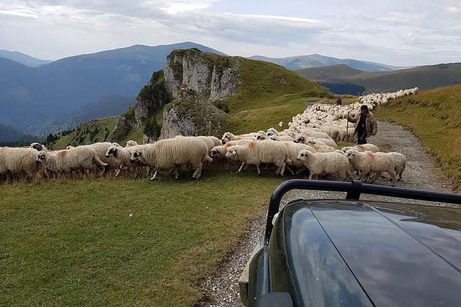 4x4 Driving Experience at Flying Altitudes - 7 Days - Day 4: The Transfagarasan and Balea Lake