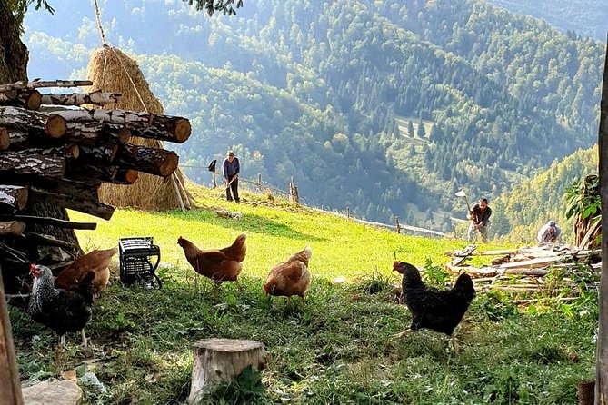 4x4 Driving Experience at Flying Altitudes - 7 Days - Day 7: Brasov’s old center and Bucharest