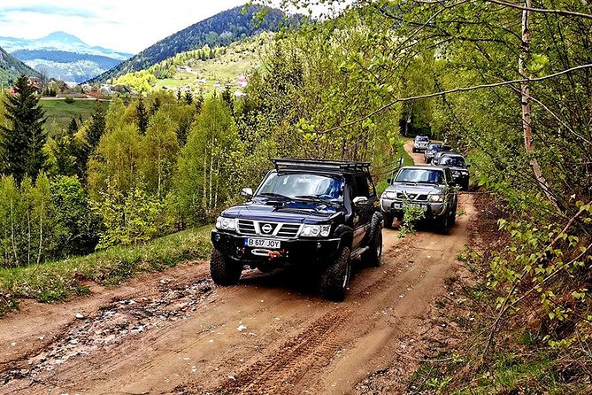 4x4 Nature Tour in Land of Dracula - 1 day - Bran Castle, souvenirs, and the Dracula question