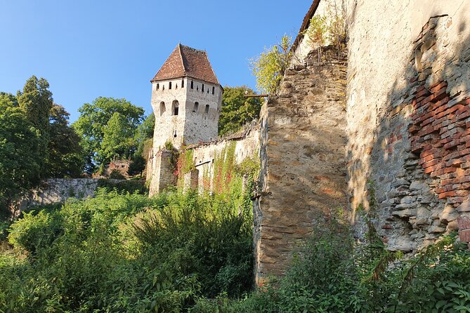 6 Days Private Tour in Romania Spectacular Places from Bucharest - Six details that shape the experience
