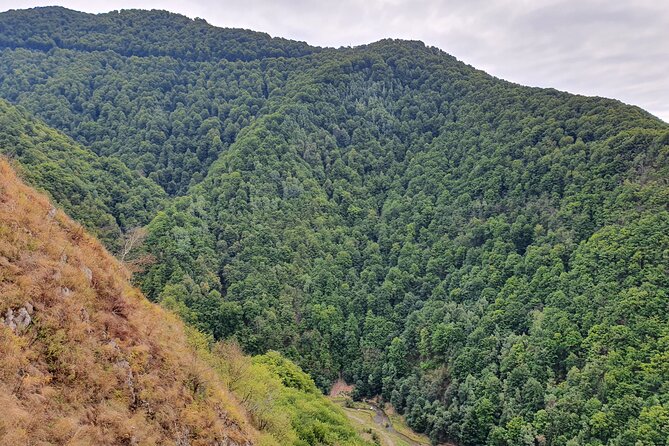 6 Days Private Tour in Romania Spectacular Places from Bucharest - Day three: Saxon villages, Alba Iulia, and Sighisoara