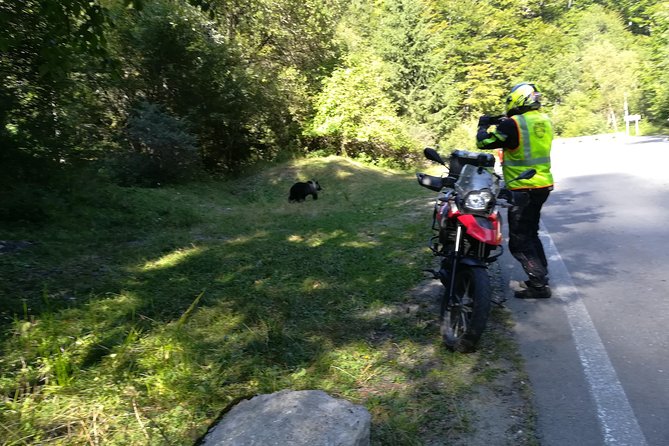 650cc Motorbike Rental from Turda - The Transfagarasan and Poenari Fortress