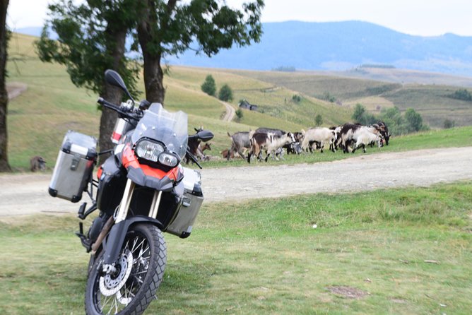 7 Day Best of Transylvania Motorcycle Tour from Cluj - Day Seven: Alba Iulia’s Star-Shaped Citadel
