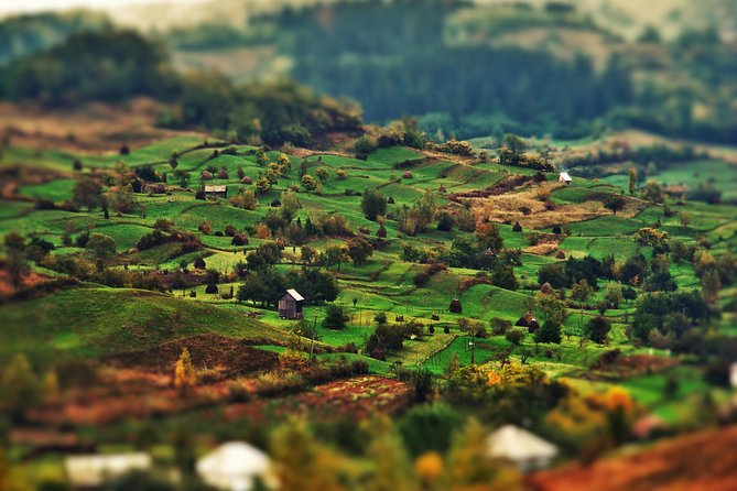 A Journey Back in Time: Countryside from Transylvania and Maramures - 15 Days - The steam train and a quiet day in Breb
