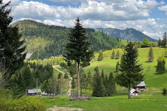 Adventure day trip from Iasi | Hiking in the Carpathian Mountains - What the small group adds