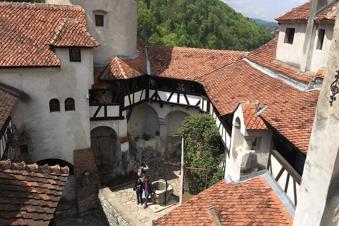 Bear Sanctuary and Bran Castle from Brasov - Bran Castle: Dracula, history, and crowds