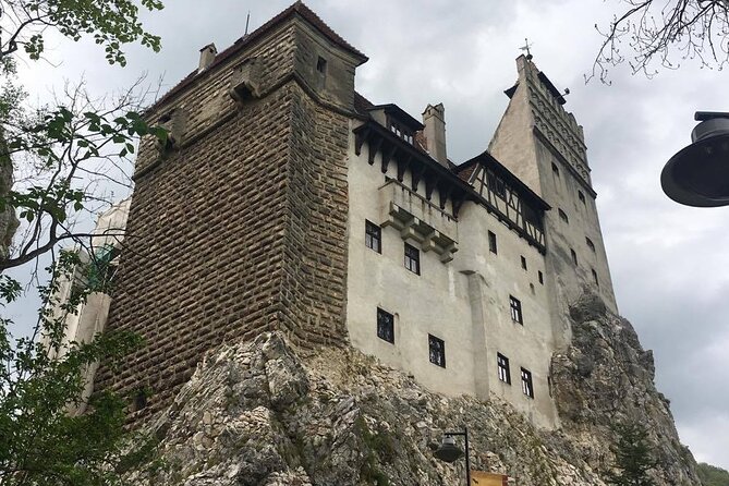 Bear Sanctuary and Bran Castle from Brasov - What the $63 tour price really covers