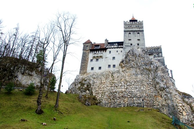 Bear Sanctuary and Bran Castle from Brasov - Libearty Bear Sanctuary: the emotional heart