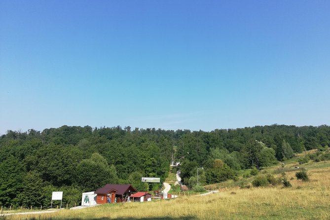 Bear Sanctuary and Dracula's Castle, 1-day Private Tour - Why the 6:30 start matters