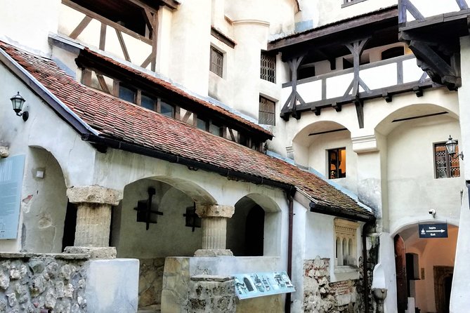 Bear Sanctuary and Dracula's Castle, 1-day Private Tour - Optional Brasov and extra stops