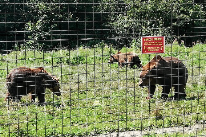 Bear Sanctuary and Dracula's Castle, 1-day Private Tour - Is $276.04 per person fair value?