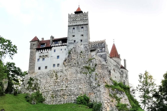 Bear Sanctuary and Dracula's Castle, 1-day Private Tour - Who should book this Bucharest day trip?