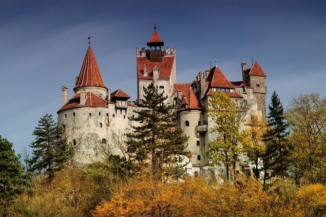 Bear Sanctuary, Bran (Dracula) Castle, Peles Castle From Brasov - Starting from Brasov at 8:30 am