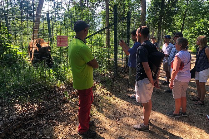 Bear Sanctuary, Bran (Dracula) Castle, Peles Castle From Brasov - The mountain drive from Bran to Peles