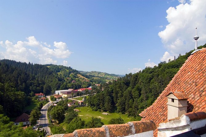 Bear Sanctuary, Bran (Dracula) Castle, Peles Castle From Brasov - Price, group size, and what you really receive