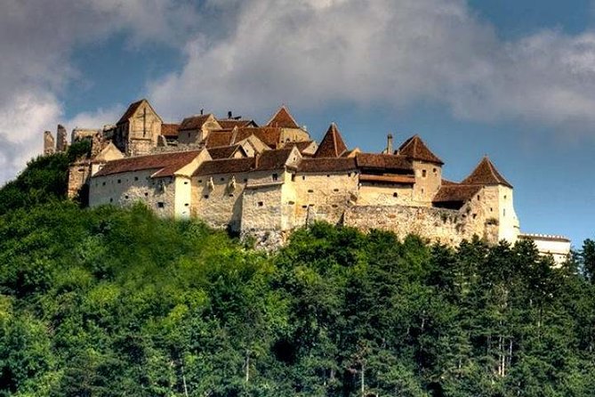 Bear Sanctuary & Rasnov Fortress - Private day tour from Bucharest - The guide matters more than the vehicle