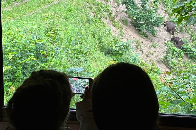 Bear Watching In Brasov: Observe Wild Bears From A Hideout (100%) - Meeting the ranger and entering the hideout