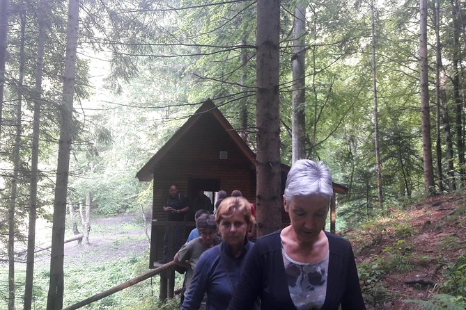 Bear Watching in The Wild from Brasov (100 %) - The best time of year to go