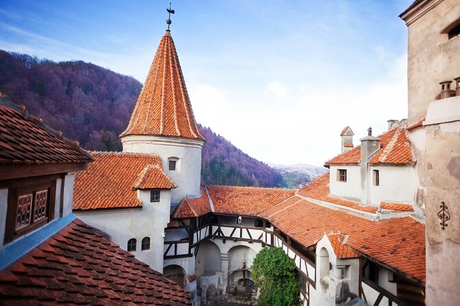 Bears Sanctuary, Dracula Castle and Poiana Brasov-Private day tour from Brasov - Why this route works from Brasov
