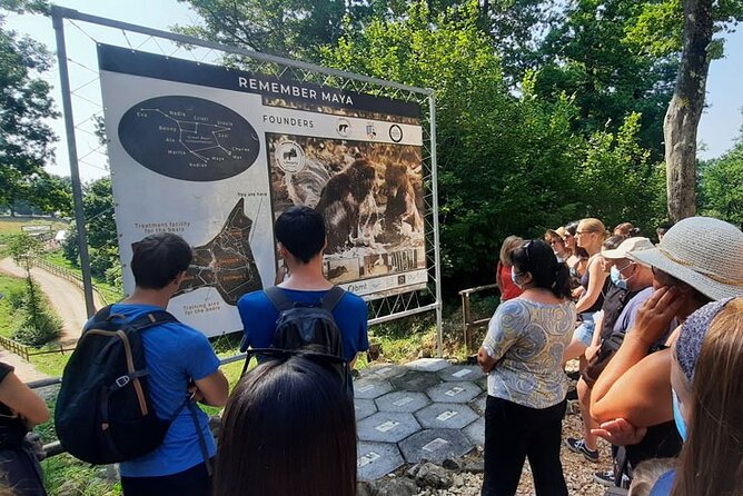 Bears Sanctuary, Dracula Castle and Poiana Brasov-Private day tour from Brasov - Slowing down in Poiana Brașov