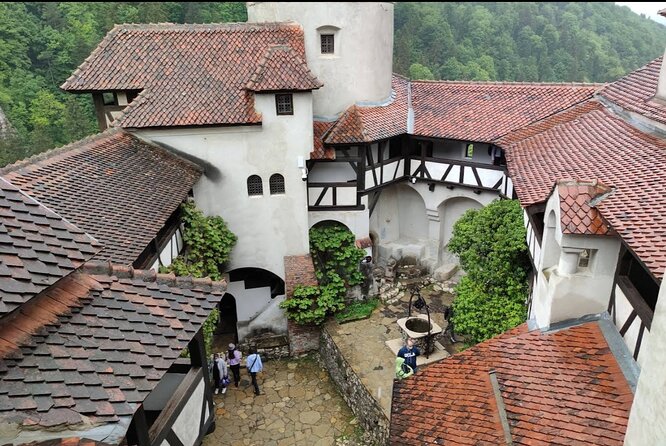 Bears Sanctuary, Dracula's Castle and Brașov City - Private Tour - Why this tour works from Bucharest