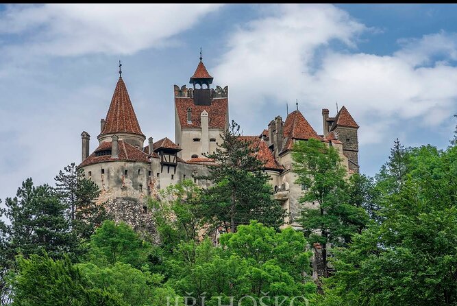 Bears Sanctuary, Dracula's Castle and Brașov City - Private Tour - Meeting the bears at Libearty Sanctuary