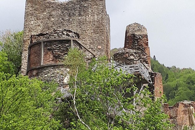 Bears Sanctuary, Dracula's Castle, Brasov Day Trip Private Tour from Bucharest - The driving day and what private really means