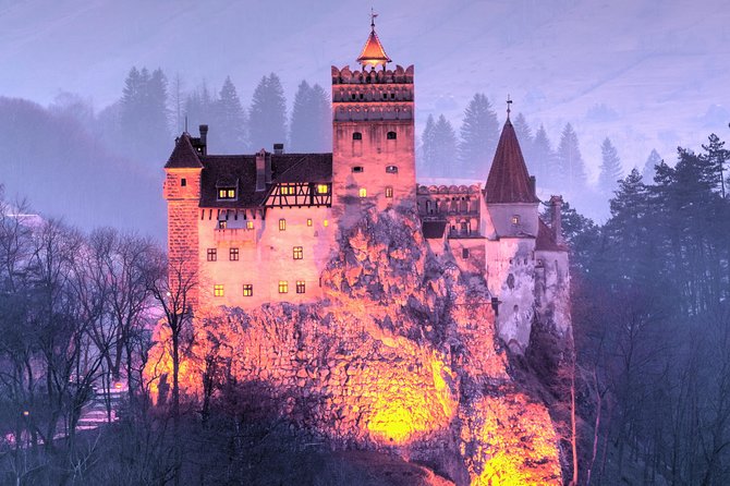 Bears Sanctuary, Dracula's Castle, Brasov Day Trip Private Tour from Bucharest - Tickets, meals, and the true cost