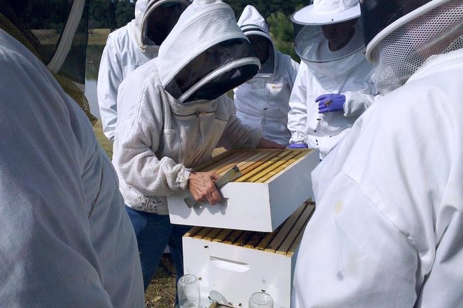 Beekeeping Day Trip| Private Guided Tour from Bucharest - Key things to know before you book