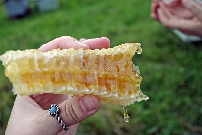 Beekeeping Day Trip| Private Guided Tour from Bucharest - From Bucharest to Vâlcea County