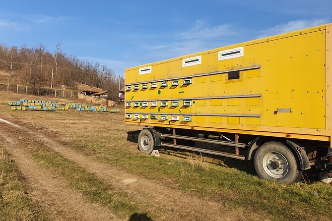 Beekeeping Day Trip| Private Guided Tour from Bucharest - A Romanian lunch at the apiary