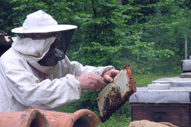 Beekeeping Day Trip| Private Guided Tour from Bucharest - Honey products for dessert