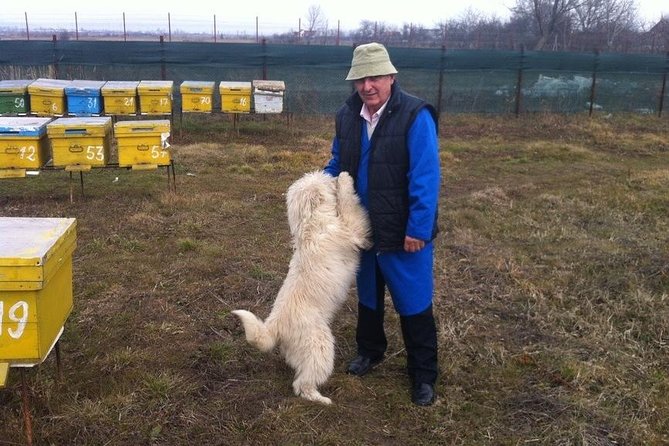 Beekeeping Day Trip| Private Guided Tour from Bucharest - How the private format affects the value