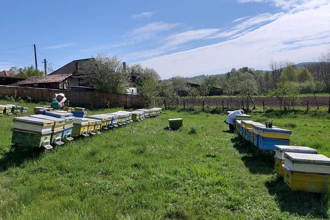 Bees Adventure in Romania - Private Day Trip from Bucharest - Watching Honey Extraction in Valcea County