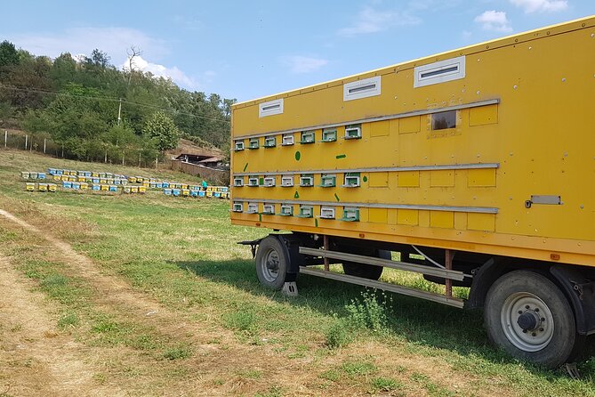 Bees Adventure in Romania - Private Day Trip from Bucharest - Is $289.40 Per Person Good Value?