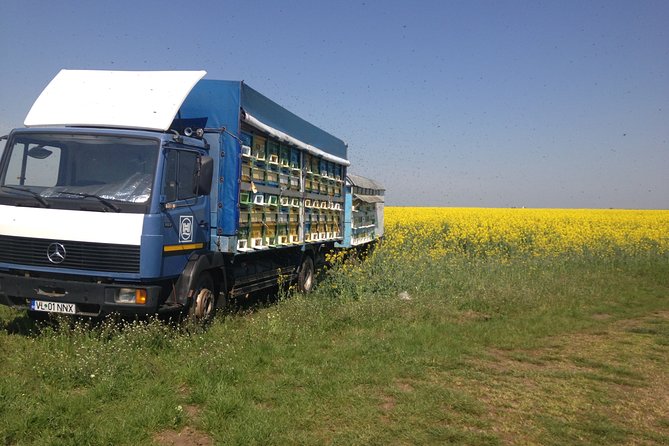Bees Adventure in Romania - Private Day Trip from Bucharest - Learning How a Hive Works